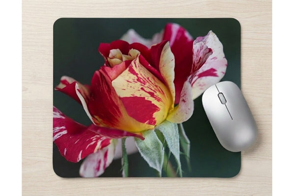 MAURICE UTRILLO MOUSE PAD