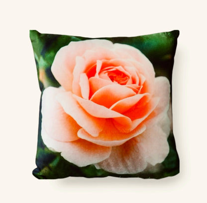 2 ROSA DAY BREAKER CUSHION COVERS AND 2 CERAMIC MUGS