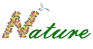 Nature By Qanita